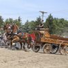 draft horse kennedy deuschle