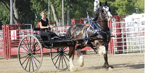 Dakota Royal Charity Draft Horse Show Awards Fall Youth Grants