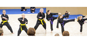 Demonstrations held by  Kenpo Karate students to help local food shelf