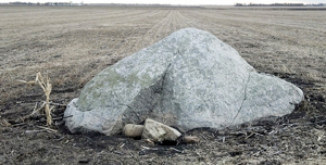 ​​​​​Landmark rock moving soon