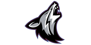 HLO-Fulda athletes seeing benefits from merger