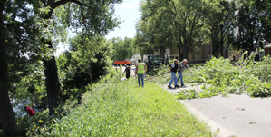Conservation Corps team  and local volunteers clear shoreline