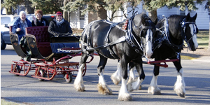 Victorian Christmas at the Dinehart Holt House