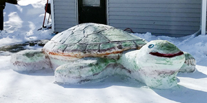 Giant painted snow  turtle spotted in Fulda yard