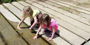 Fun in the sun during COVID-19