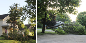 Sever thunderstorms roll across southwest Minnesota Thursday